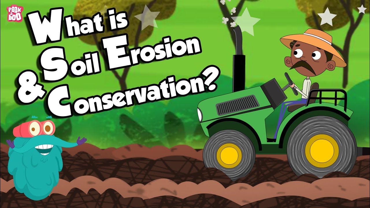 What are the types of conservation?