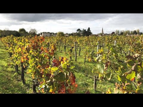 Video Thumbnail: Null Promille: Brüssel setzt auf alkoholfreien Wein