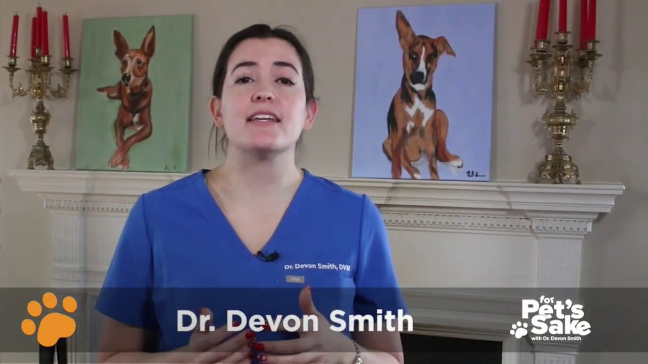 For Pet Sake's: Vaccines