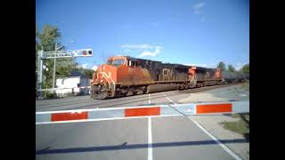 CN and OSR Grabs In Woodstock & St Thomas ON October 6 & 8 2025