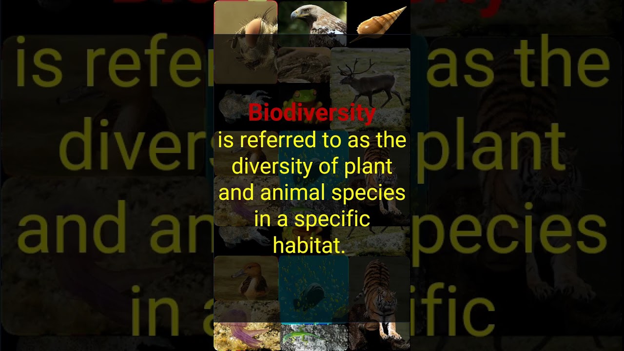 Biodiversity Hotspots #biodiversityhotspot #biodiversity #ugcnet #environmentalscience