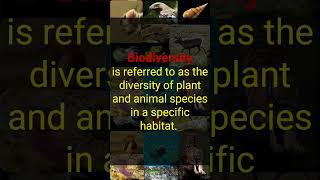 Biodiversity Hotspots #biodiversityhotspot #biodiversity #ugcnet #environmentalscience