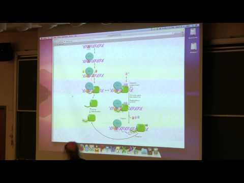 Ahern's BB 350 at OSU - 19. Transcription & Translation