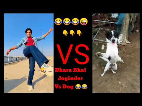 Dhara Bhai Joginder Vs Dog 😂😂