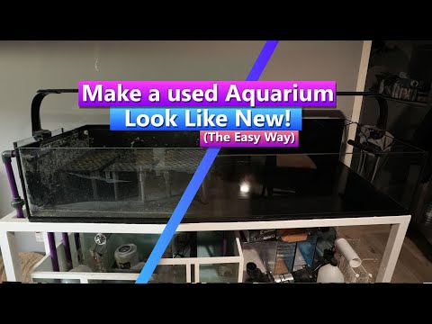 How To: Clean a Used Aquarium - The Easy way!