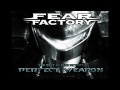 Fear Factory - Dog Day Sunrise