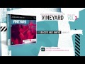 Vineyard - Bless His Name (Louve a Ti) 