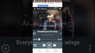 Alan jackson- everything but the wings