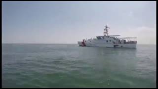 Coast Guard rescues Loggerhead Turtle