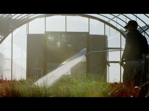 Barlow's TV Commercial!