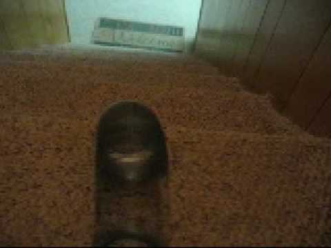 Thumbnail for Slinkey Freestyle Movie ( more like clips) by We the Kings