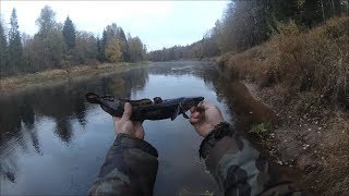 Ссылка
