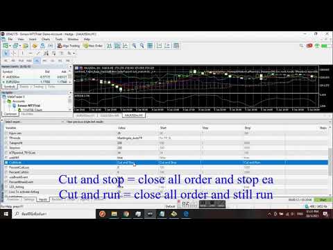 Video LastStand Type4 Ronin