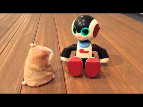 ロビジュニアとミミクリーペットVol.1