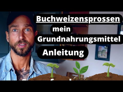 Buchweizensprossen Superfood - deswegen esse ich sie jeden Tag! Schützt das Herz-Kreislauf-System.