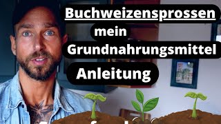 Buchweizensprossen Superfood - deswegen esse ich sie jeden Tag! Schützt das Herz-Kreislauf-System.