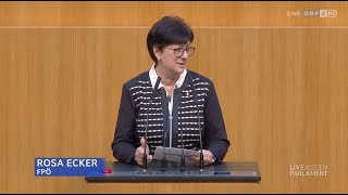 Rosa Ecker - Kunst- und Kulturbericht 2024 - 19.11.2025