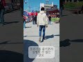 Suasana Musim Semi Korea Selatan