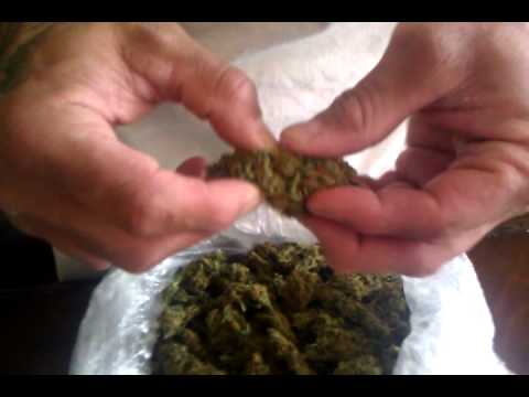 Outdoor Kali Mist from Collective of CA