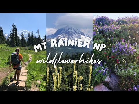 Mt. Rainier National Park Wildflowers - All the BEST Wildflower Day Hikes