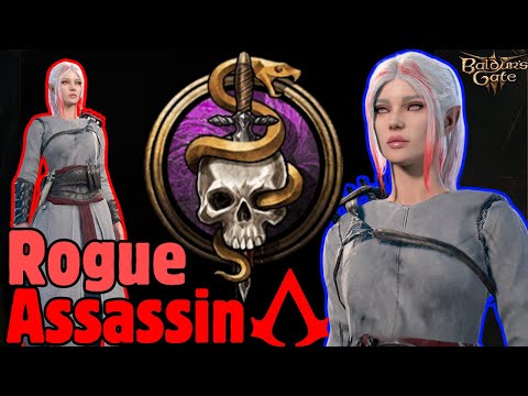 Rogue ASSASSIN Patch 8 Build in Baldur's Gate 3