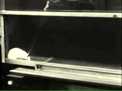 Study by James Old of Brain Reward Center