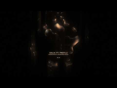 Zalia - bezsensownie