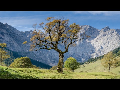 Muzyka Medytacyjna Na Wyciszenie + Muzyka Do Głębokiej Medytacji i Koncentracji + Muzyka Zdrowotna
