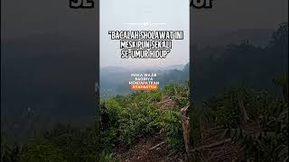 Download lagu Read this sholawat at least once in your lifetime #selfreminder #shortvideo #shortsfeed mp3