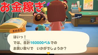 【あつまれどうぶつの森】タランチュラ島でお金稼ぎ！ローン完済！【あつ森】3日目　（Vtuberもどき）