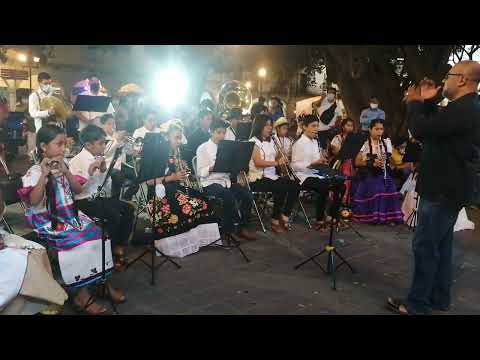 Chispita de chocolate - Narciso Lico Carrillo