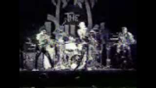 The Dickies - Live at The Palms 1979