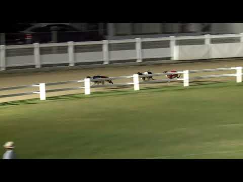 2020.08.07. 07. futam - Kincsem Park Magyar Derby V. negyeddöntő