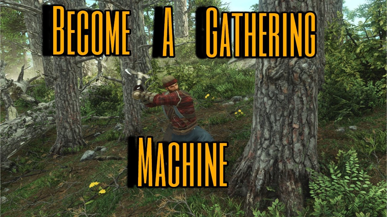 New World: Aeternum Intro to Gathering