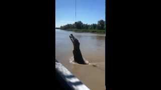 preview picture of video 'Jumping Croc on the East Adelaide River in SloMo!'