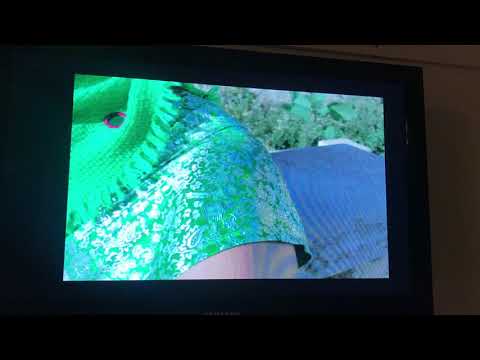 AGABlaster   68K Commodore Amiga CDXL Video Player 15FPS 68030 256 COLOURS 8BITS SOUND