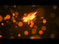 DragonFly Animated