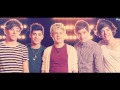 One Direction - What Makes You Beautiful (If they ...