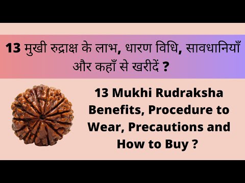 Alles über 13 Mukhi Rudraksha | Beste Rudraksha für gynäkologische Probleme und für Anziehung