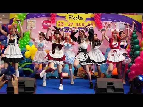 C0262 CMJ Trainee - "  IGNITE  "    The Mall​ Balloon Fiesta @ The mall bangkae