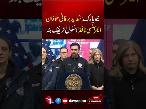 نیویارک میں تاریخی برفانی طوفان، سفری پابندیاں اور اسکول بند