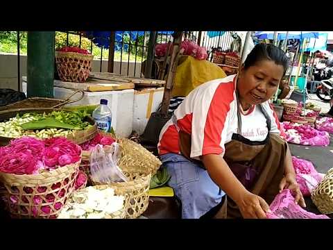 Mawar Rezeki di sudut pasar Beringharjo ,Malioboro Yogyakarta