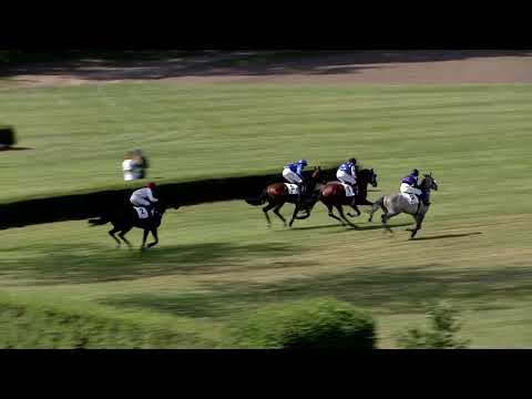 3. dostih - Cena za podpory Jezdeckých potřeb Mauricio - dostihy Pardubice 8. 6. 2019