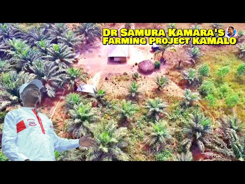 ACCESS GRANTED: Dr Samura Kamara's Farm Project 🇸🇱 Roadtrip 2023 - Explore With Triple-A
