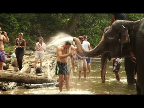 Dead Zone -- The Elephant in the Room