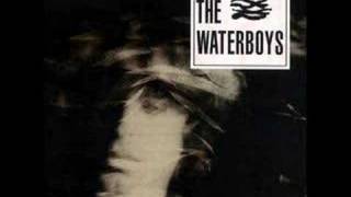 The Waterboys - It Should Have Been You