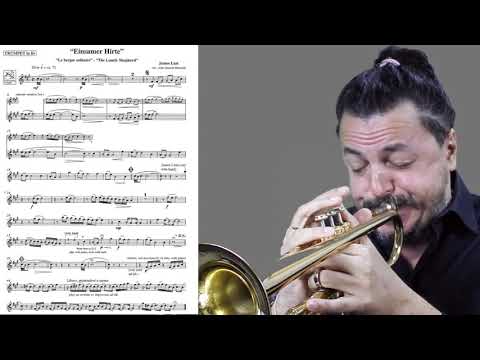 The Lonely Shepherd - Einsamer Hirte  ( Play with me  n.1 ) Kill Bill soundtrack -Andrea Giuffredi