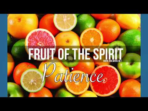 Fruit of the Spirit Series: Patience