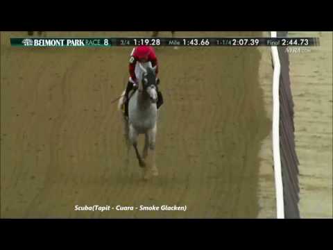 Scuba - 2016 Temperance Hill Invitational