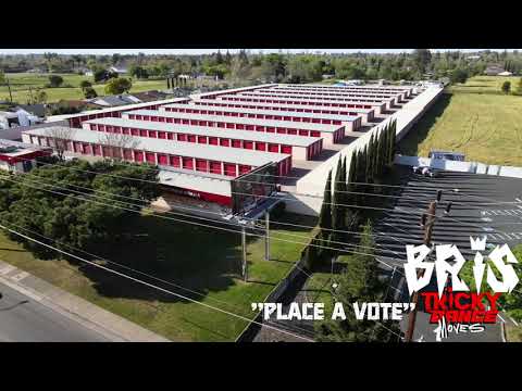 Bris - Place A Vote (Visualizer)